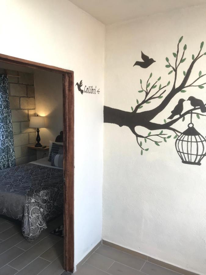 Casa Los Naranjos San Miguel de Allende Eksteriør bilde